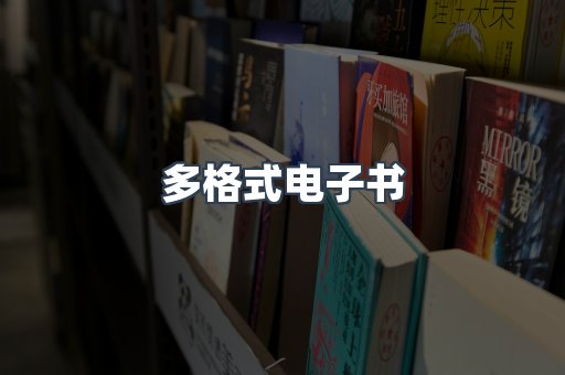多格式电子书
